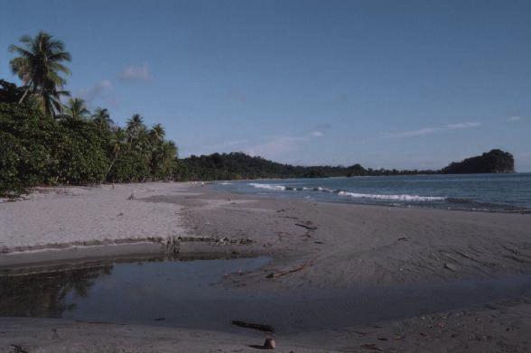 Around Quepos: Playa Espadilla near Quepos where we spent the afternoons